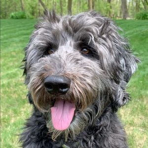 Meet your Posher, James